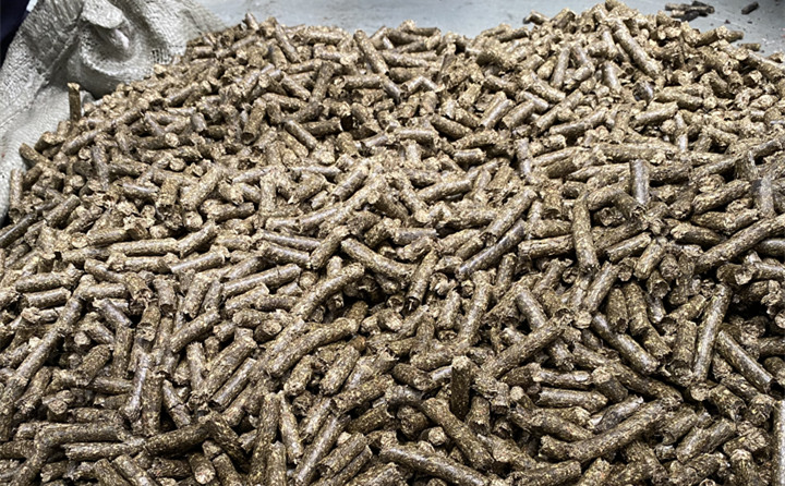 鋸末顆粒機(jī)生物質(zhì)顆粒 鋸末顆粒機(jī)生物質(zhì)顆粒