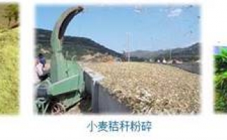 農(nóng)民科學(xué)發(fā)展新思路，秸稈綜合利用成為賺錢好門路之秸稈顆粒機(jī)